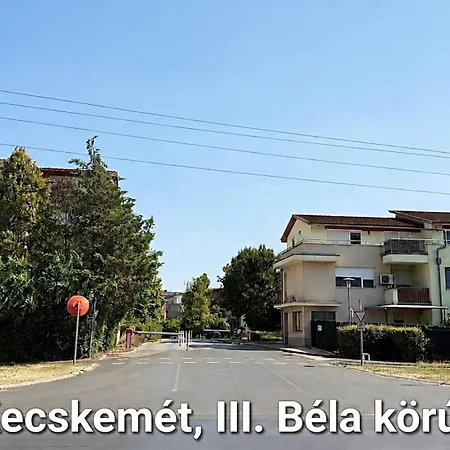 Local-lux Penthouse - Panorama Terrace & Free Parking Apartment *